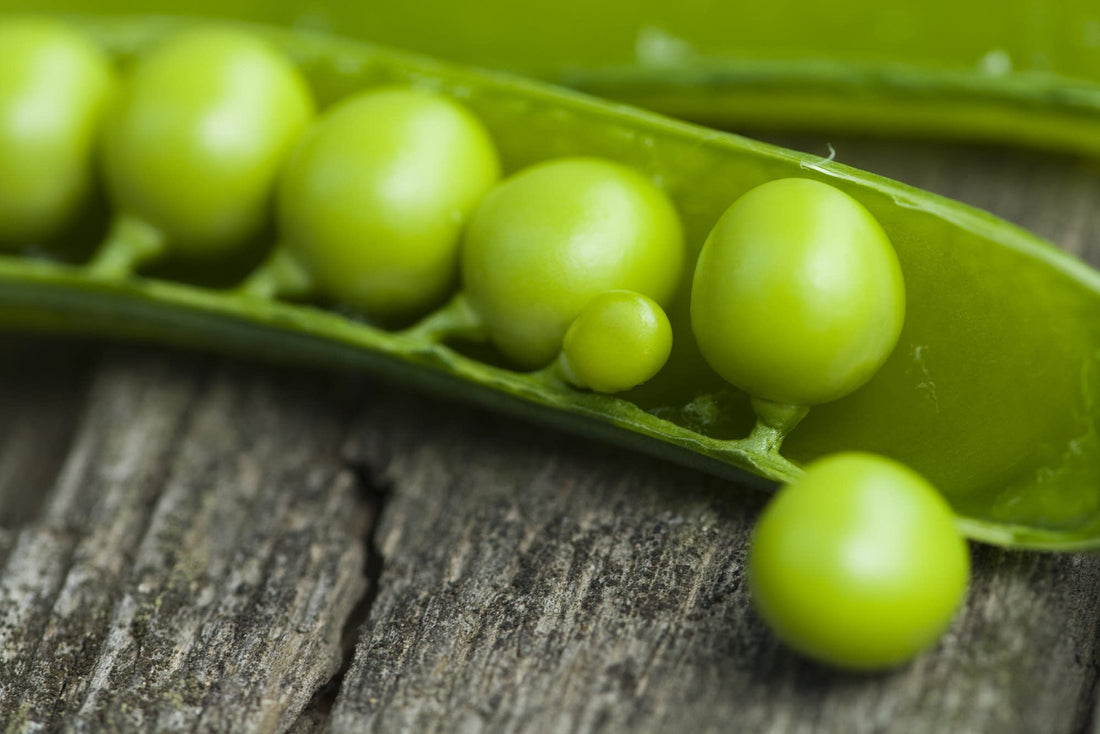One pea in his own productive pod. No other pea needed!